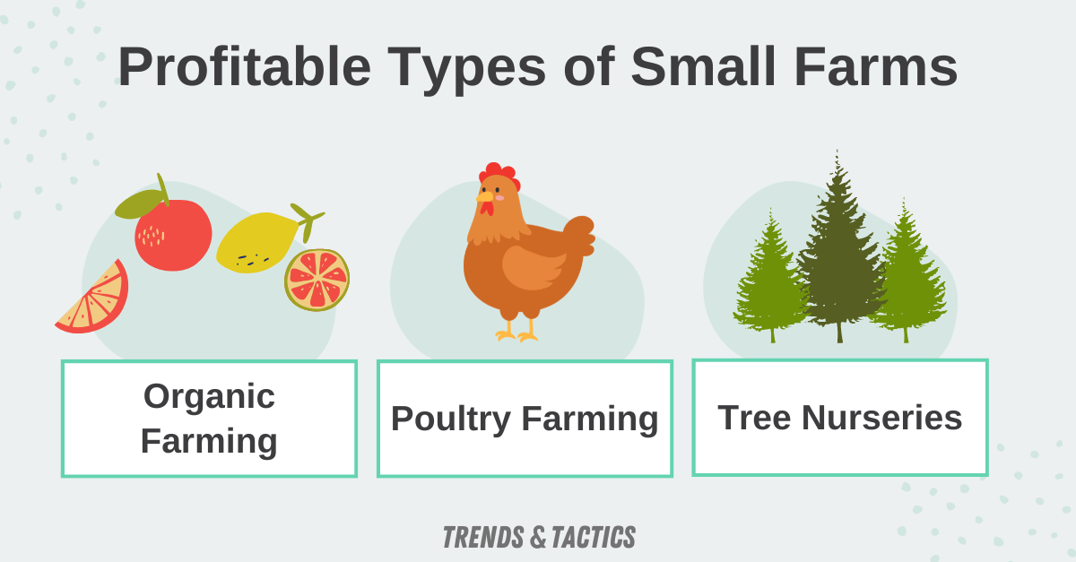 Profitable-Types-of-Small-Farms