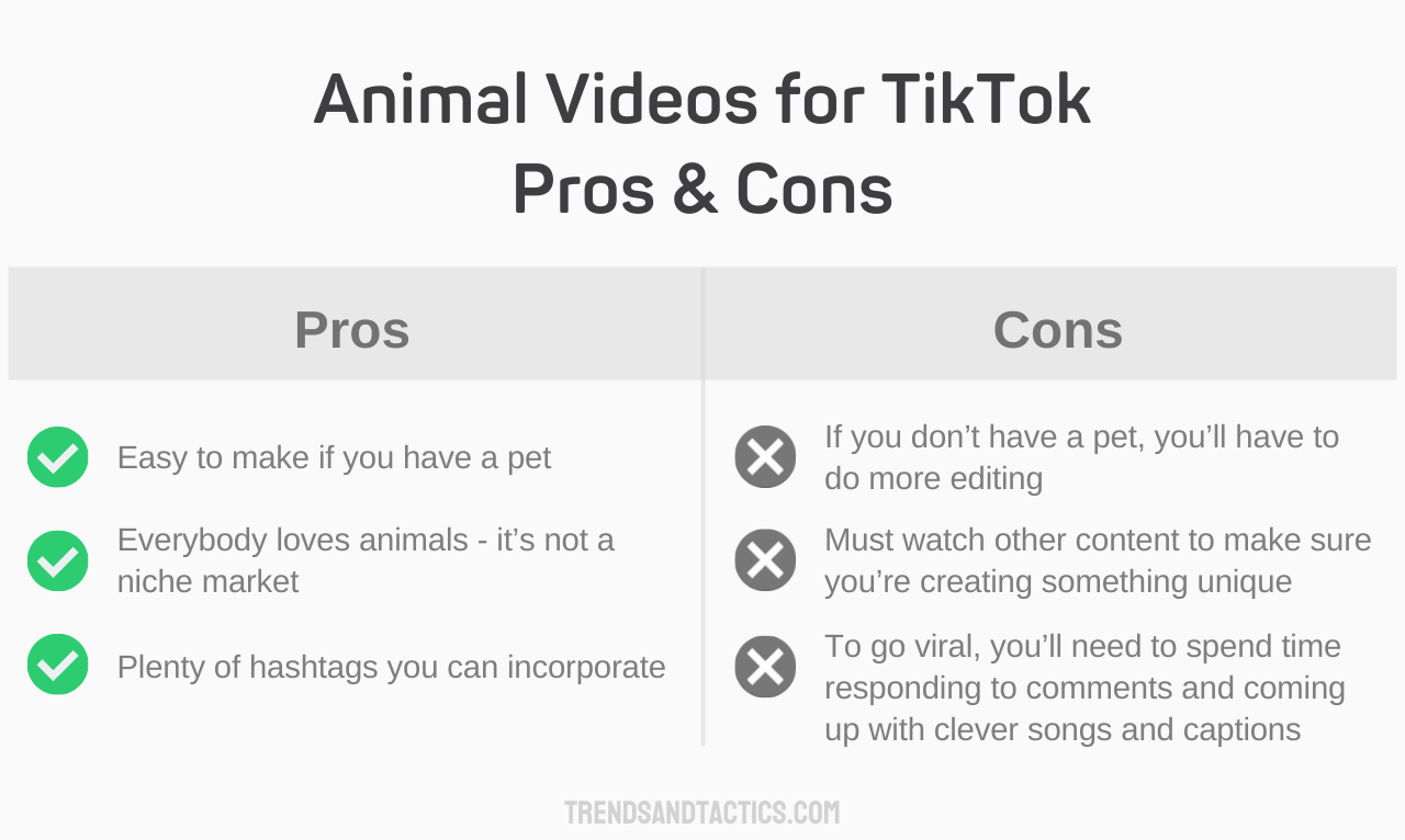 animal-videos-for-tiktok-pros-and-cons