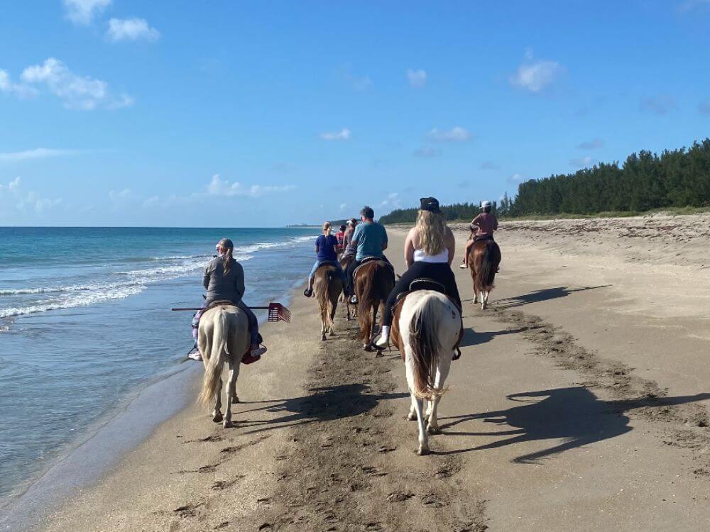 horses-on-beach