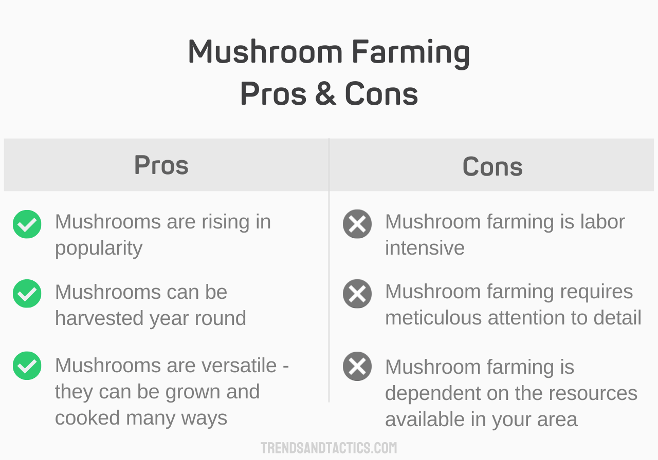 mushroom-farming-pros-and-cons