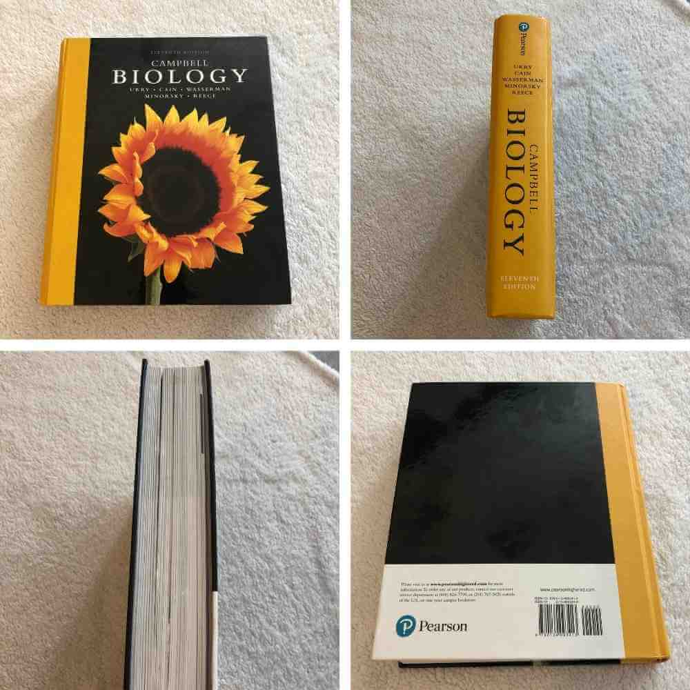 used-textbook-photos